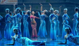 孔雀舞蹈视频,探寻传统与现代交融的艺术魅力